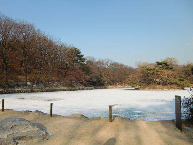 お庭の池