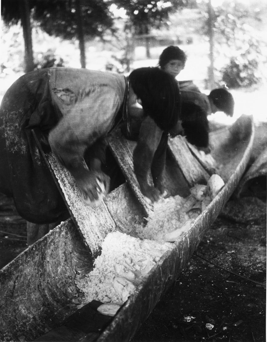 The De'áruwa, like the Ye'kuana people pictured here, grate bitter yucca as part of the process that makes it edible.