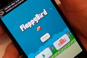 A view of the FlappyBird game open on an iPhone