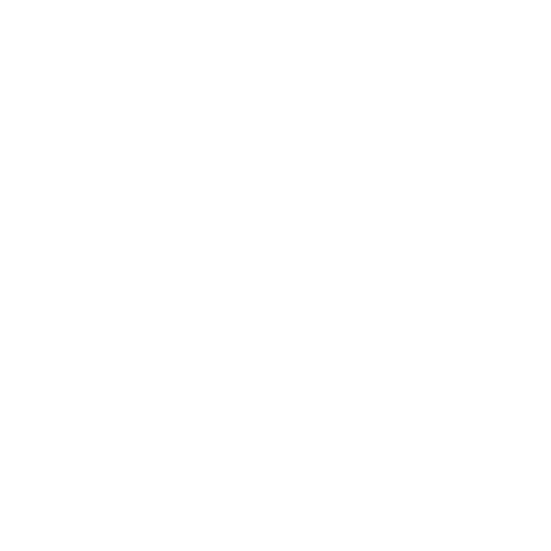 Enforcement Icon