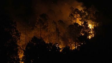 600 hectares de forêt brûlés dans le Var : comment les pompiers ont fait face au premier gros incendie de la saison