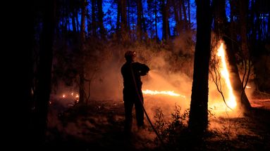 L'incendie a brûlé 600 hectares de forêt dans le Var depuis mardi 11 juin. 