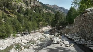 Tempêtes Ciaran et Domingos : sept mois après les intempéries, la vallée de Restonica en Corse se reconstruit au ralenti
