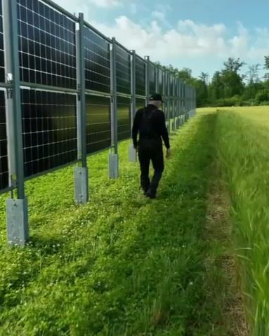 VIDÉO - Photovoltaïque : ces panneaux verticaux permettent de combiner production électrique et agriculture
