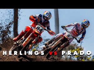 84 JEFFREY HERLINGS