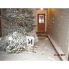 Cabot: 2011 snow