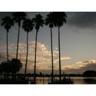 Pinellas Park: Treasure Island