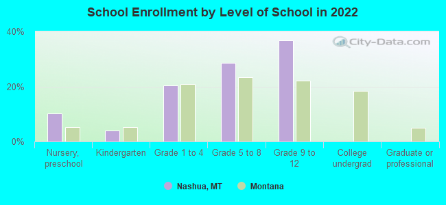 School Enrollment by Level of School in 2022