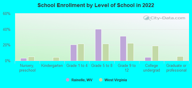 School Enrollment by Level of School in 2022