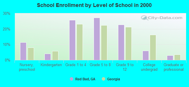 School Enrollment by Level of School in 2000