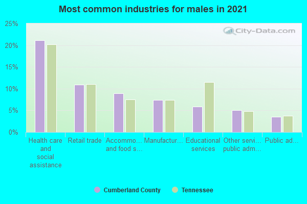 Most common industries for males in 2022