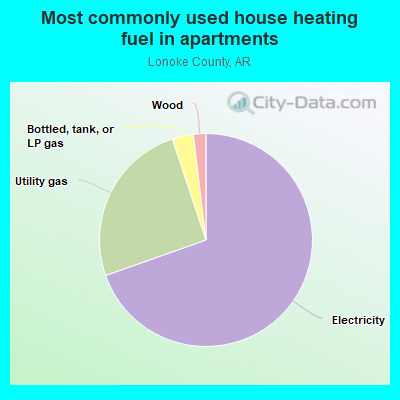 Most commonly used house heating fuel in apartments