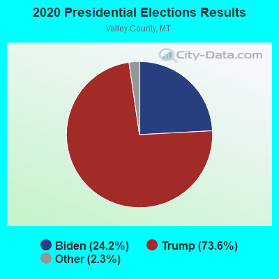 2020 Presidential Elections Results