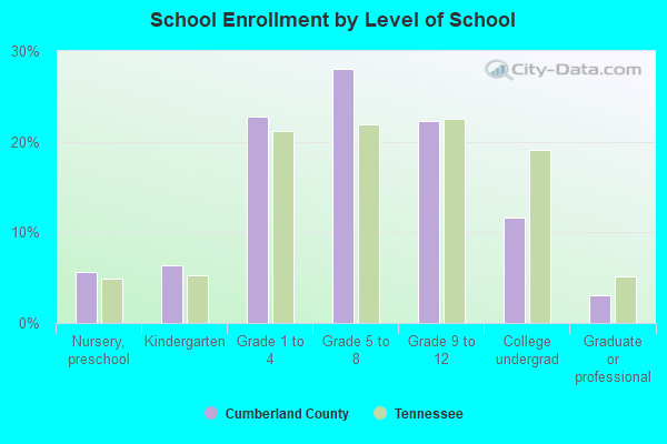 School Enrollment by Level of School