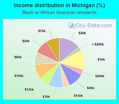 Income distribution in Michigan (%)