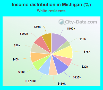 Income distribution in Michigan (%)