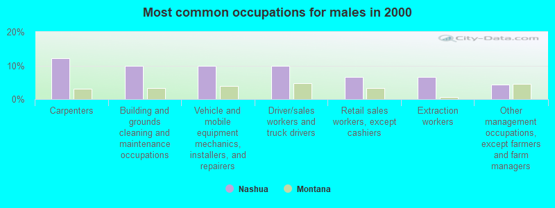 Most common occupations for males in 2000