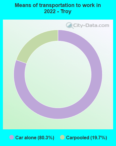 Means of transportation to work in 2022 - Troy