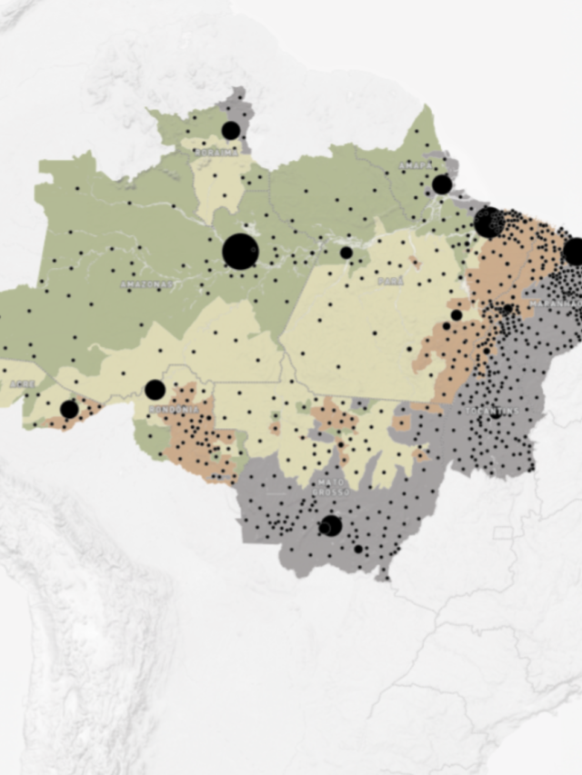 Estudo divide Amazônia em 5 zonas diferentes para modelos econômicos