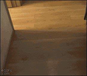 おじさんが子犬に襲われてYOU DIED2