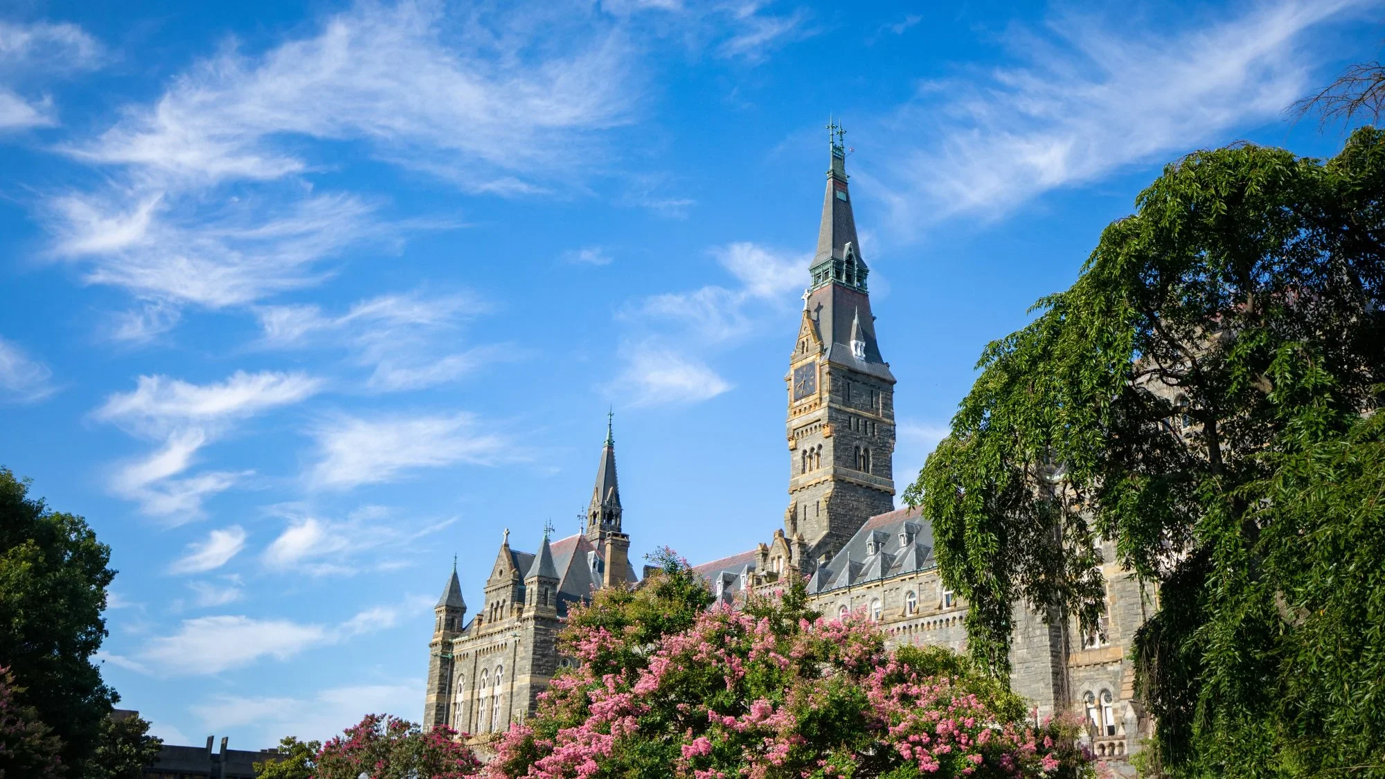 Healy Hall on a sunny day with flowers in bloom