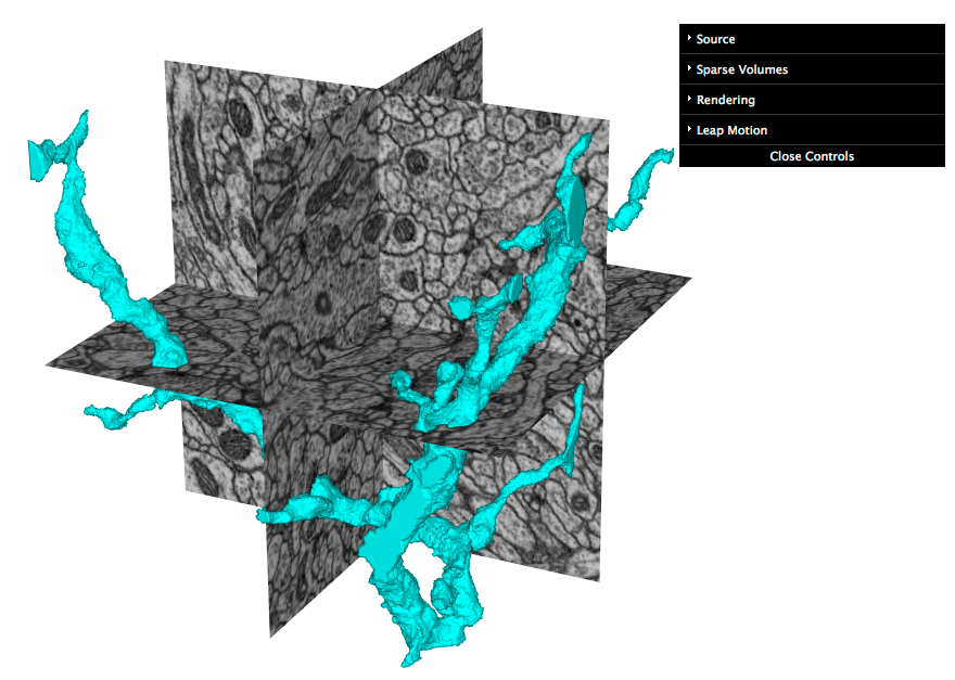 Web app for 3d inspection being served from and sending requests to DVID