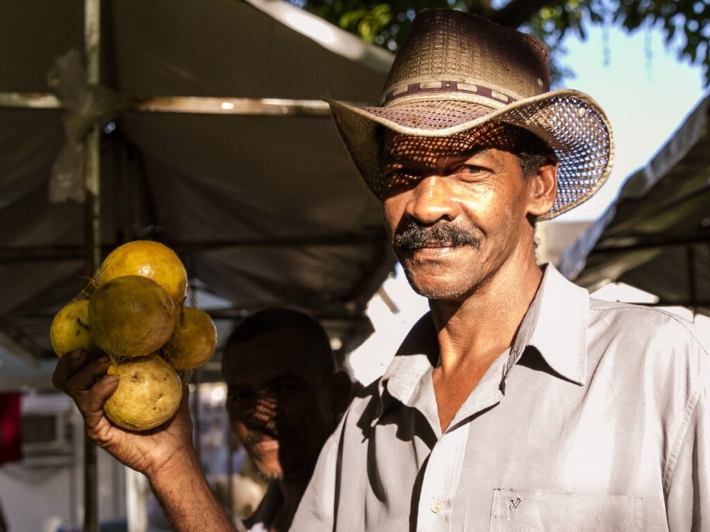 A agricultura orgânica utiliza técnicas agrícolas sustentáveis sem agrotóxicos e fertilizantes químicos. Já a agroecologia vai além das práticas agrícolas, incorporando princípios ecológicos, sociais e políticos para transformar todo o sistema alimentar, com foco na justiça social e na soberania alimentar (Foto: Daniela Moura/Mídia Ninja)