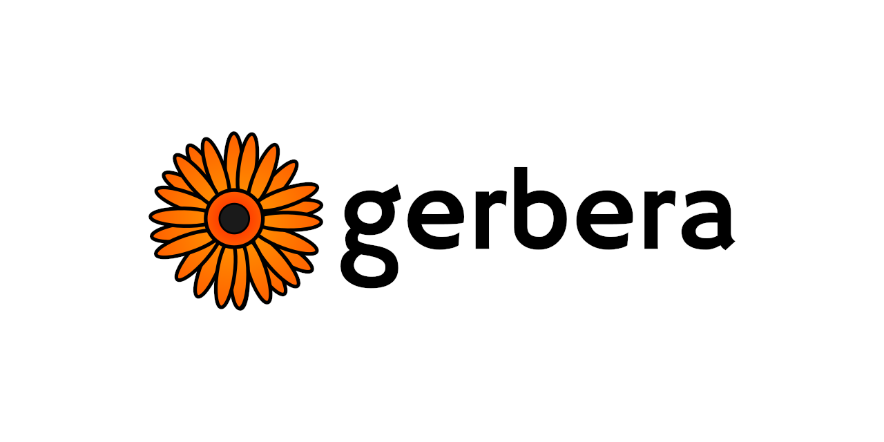 gerbera