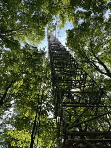 A very tall metal observation tower reaches toward the sky and is taller than the trees in a wooded landscape