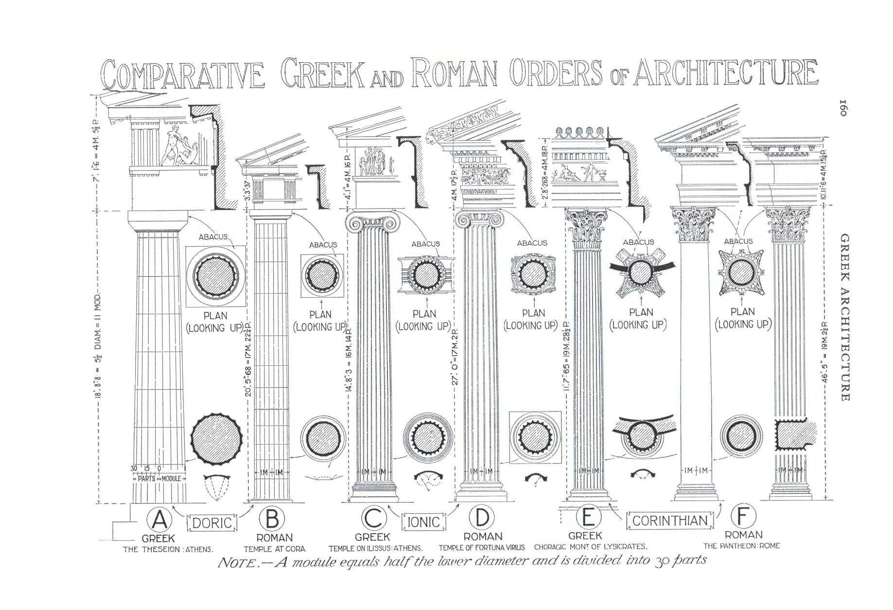 A figure showing the architectural differences between Greek and Roman columns.