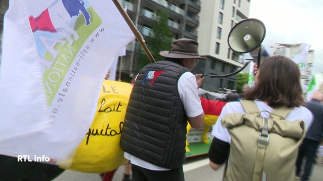 Manifestation des producteurs de lait à Bruxelles