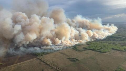 Incendie de forêt dans la zone forestière de Grande Prairie le 10 mai 2024 au Canada.
