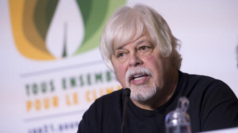 Paul Watson, pictured here in 2015, founded the anti-whaling activist group Sea Shepherd.
