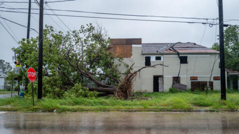 Un arbre abattu par des vents violents lors du passage de l'ouragan Béryl, le 8 juillet 2024 à Houston, au Texas.