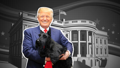 Donald Trump tenant un chien dans ses bras.