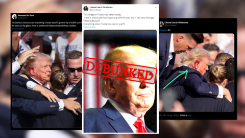 Pro-Democratic social media users have been posting conspiracy theories about the assassination attempt on Donald Trump’s life.