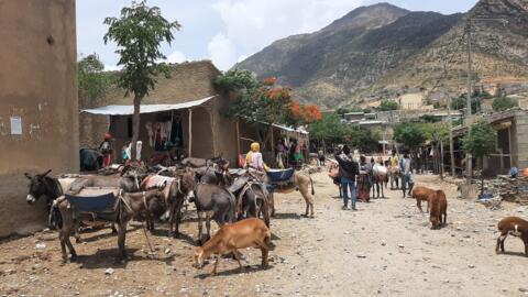 Nas ruas de Dowhan, no norte do Tigray, a atmosfera é calma. As estradas para o norte estão cortadas, porque os eritreus estão a menos de 5 km de distância.