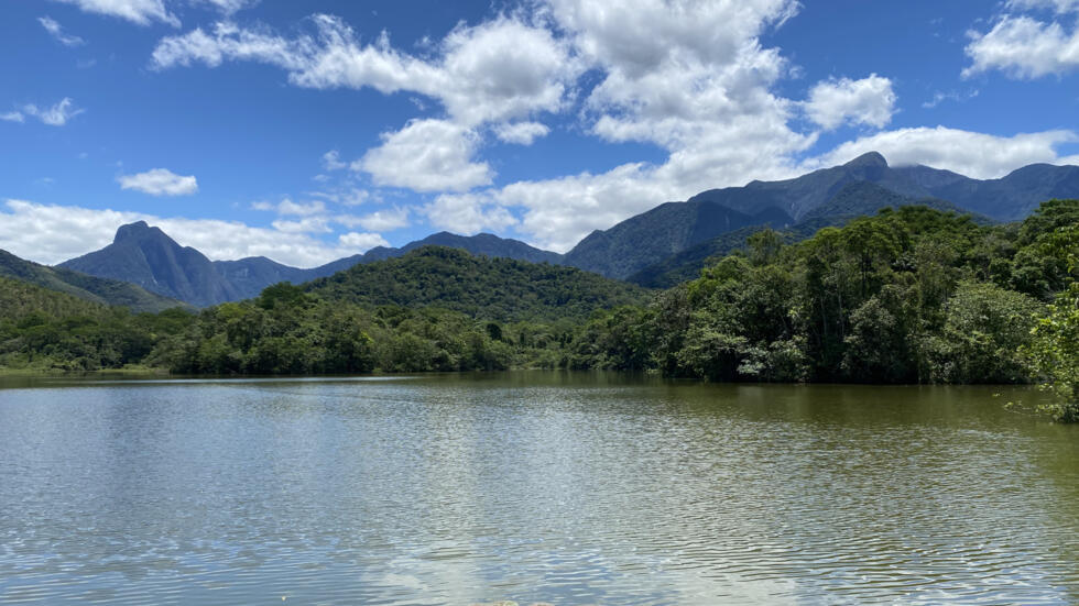 Vedere din rezervația Guapiaçu, Brazilia.