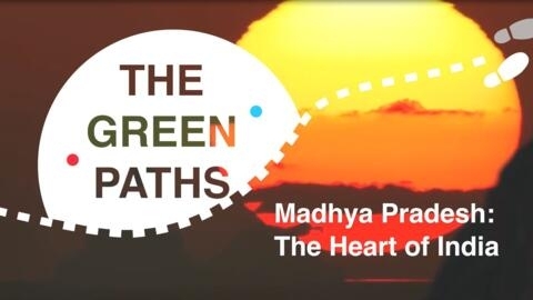 The green paths "Madhya Pradesh"