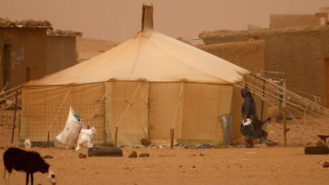 An indigenous Sahrawi woman walks at a refugee camp of Boudjdour during a sand storm in Tindouf, southern Algeria, September 10, 2016.