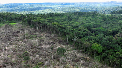 Vista aérea mostra uma região desmatada perto de Uruara, Estado do Pará, Brasil, em 21 de janeiro de 2023.