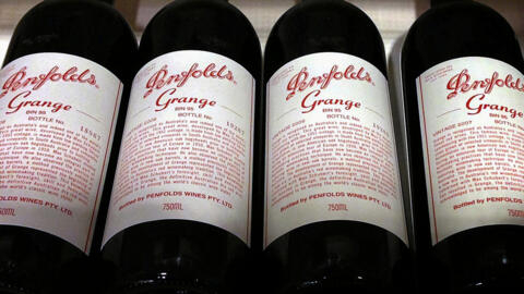 Des bouteilles de Penfolds Grange, un vin d'Australie, photographiées dans un magasin spécialisé à Sydney, le 4 août 2014.
