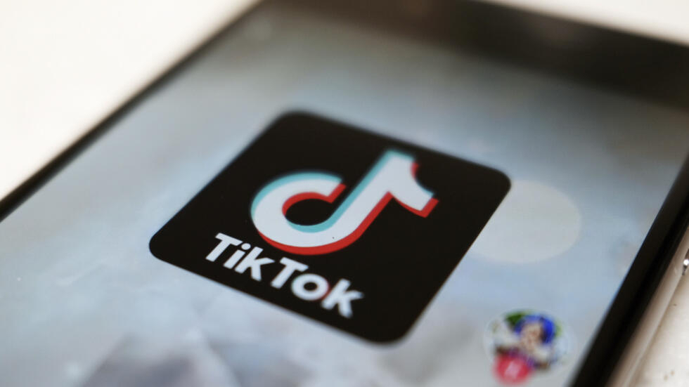 抖音国际版TikTok应用示意图。