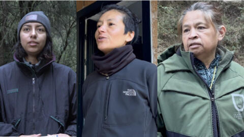 Estefanía, Marisol y Graciela luchan por la conservación del Parque Nacional Los Dinamos , área natural protegida con una extensión de 2.429 hectáreas de bosque, en la Ciudad de México.