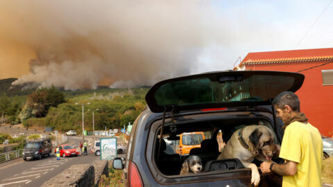 Incêndio na ilha espanhola de Tenerife avança sem controle