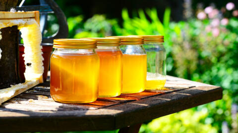 La région de l’Adamaoua au Cameroun produit environ 28 tonnes de miel par an, selon des chiffres du ministère des Pêches et de l’élevage. (Photo d'illustration)