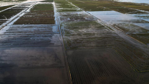 Vista aérea das plantações de arroz inundadas em Eldorado do Sul, no Rio Grande do Sul, Brasil, de 9 de maio de 2024. 