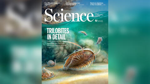 Couverture de Science Trilobites Pompéi marin