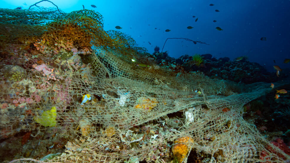 Un filet de pêche abandonné sur un récif corallien