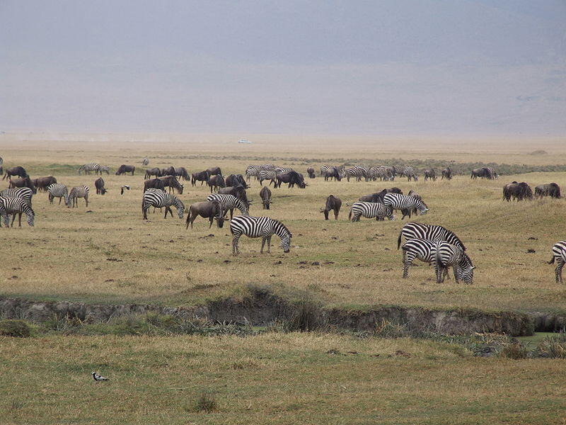 Ngorongoro Conservation Area in Tanzania is added to UNESCO World Heritage